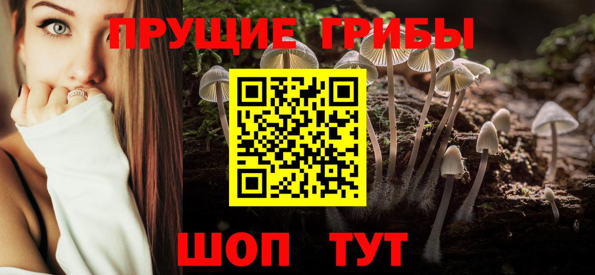 Псилоцибиновые грибы GOLDEN TEACHER  Вход с VPN  Нерюнгри 