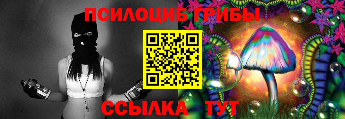 Галлюциногенные грибы Psilocybine cubensis Нерюнгри